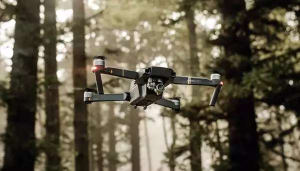 drone Γάμος μέσα στο δάσος